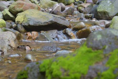 The Three Secrets of a Healthy Stream Image
